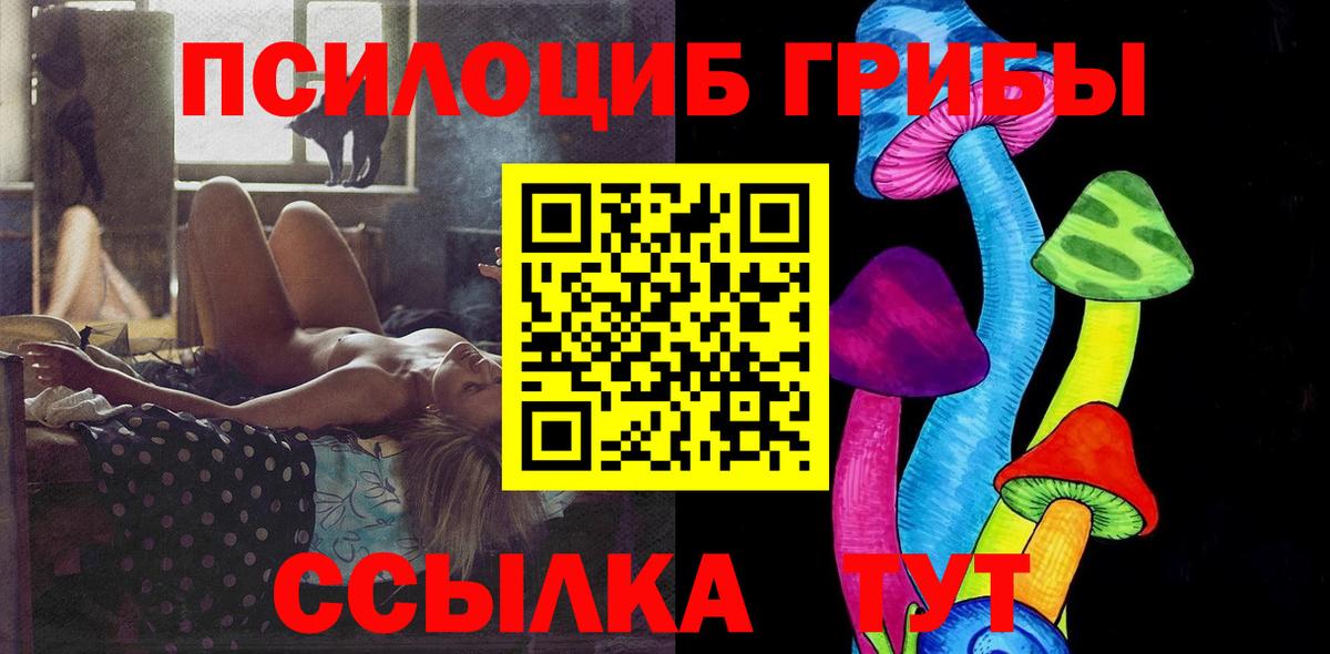 где купить наркотик  Вход с VPN  Артём  Галлюциногенные грибы мухоморы 